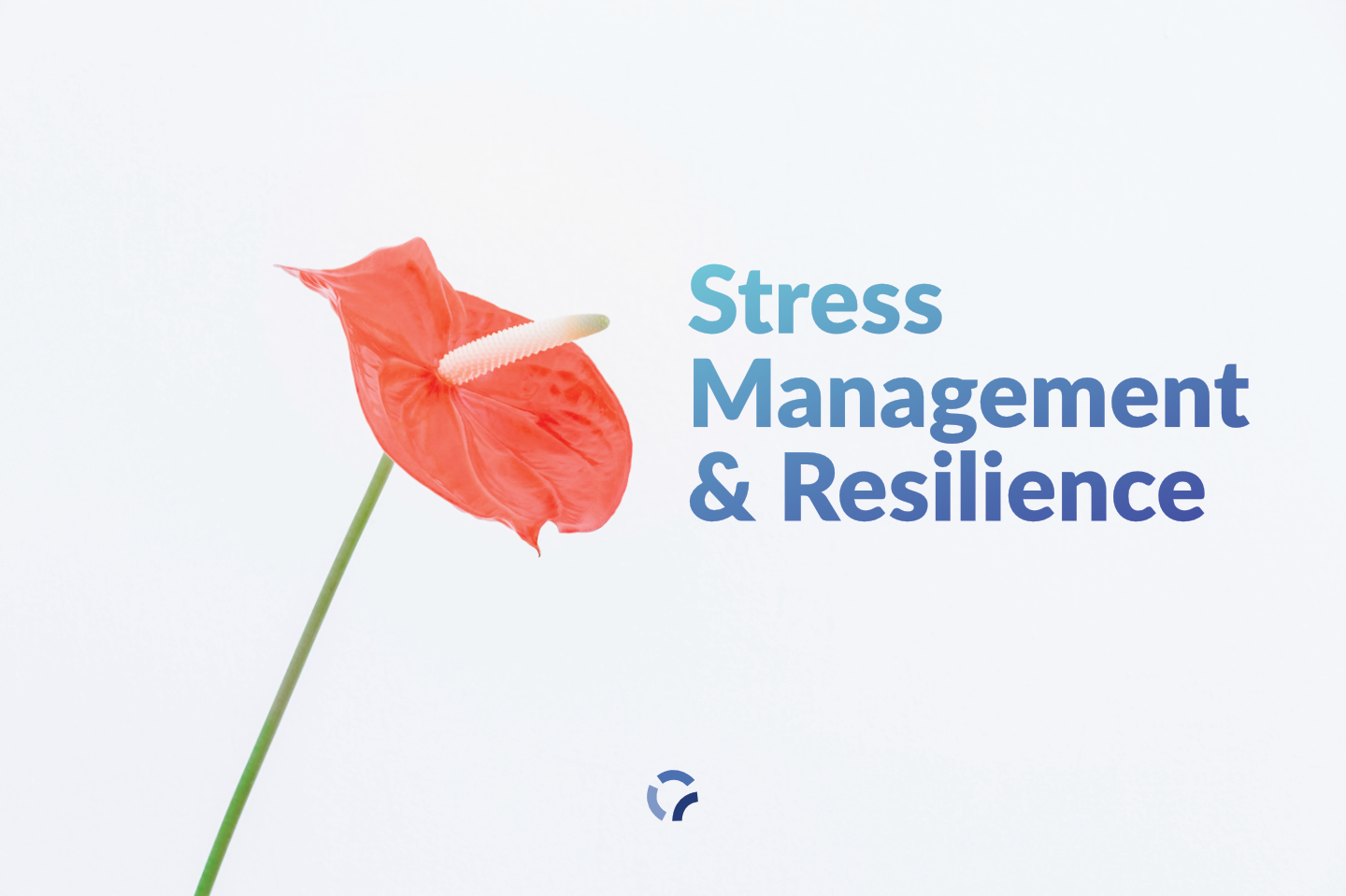 stress management and resilience featured image