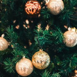 xmas-tree-25 xmas-tree-25